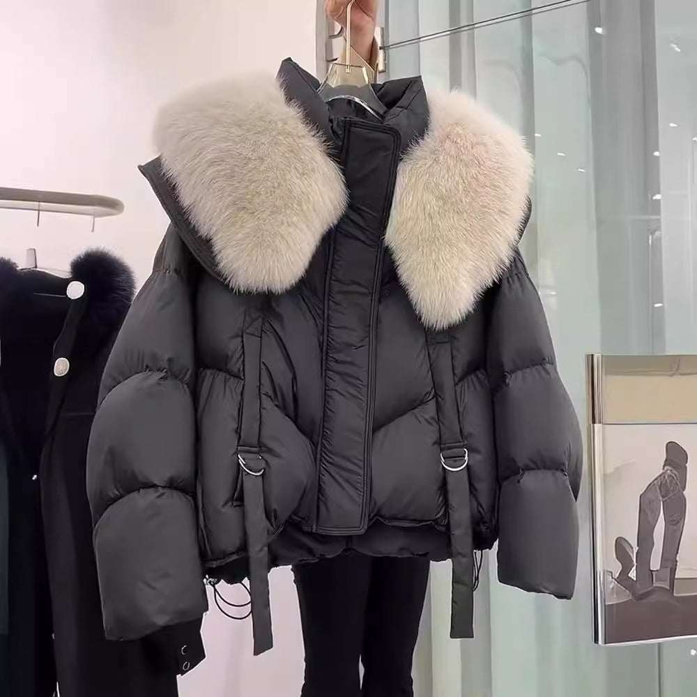 Abrigo de Invierno